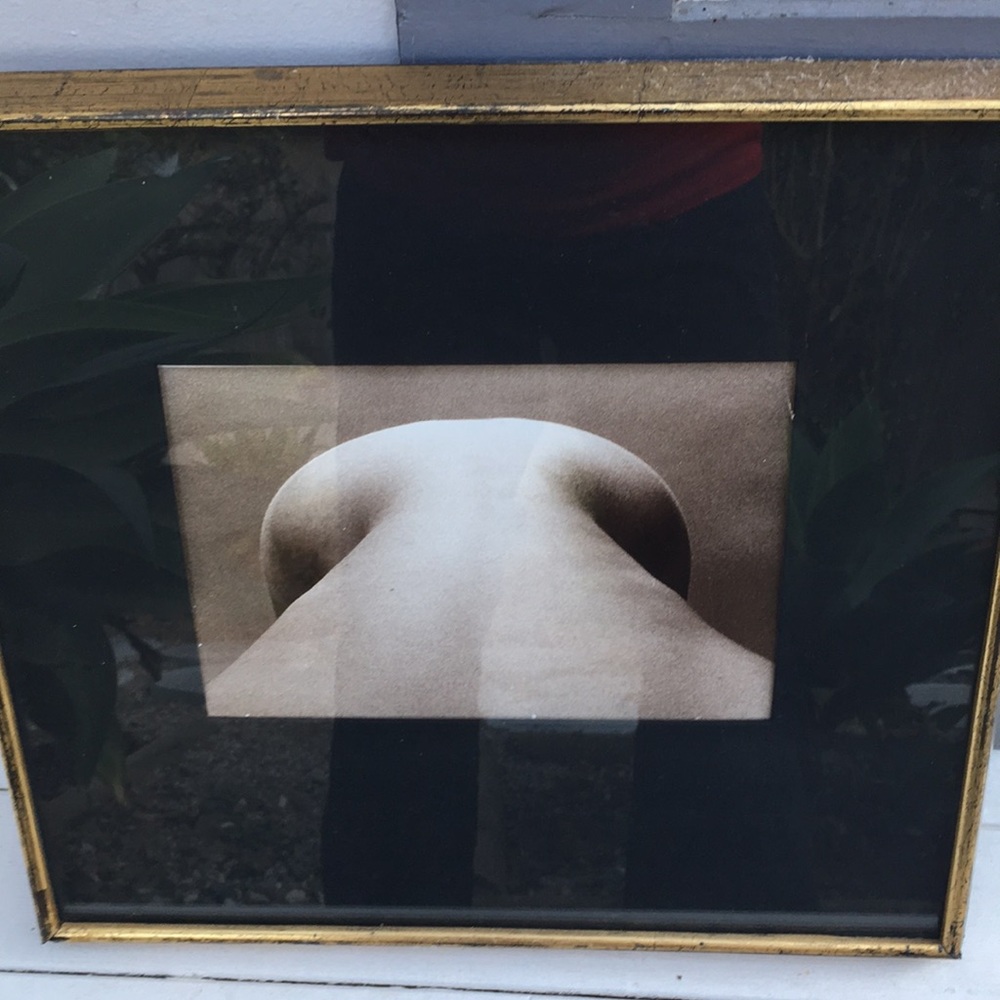 Sepia Art Photo